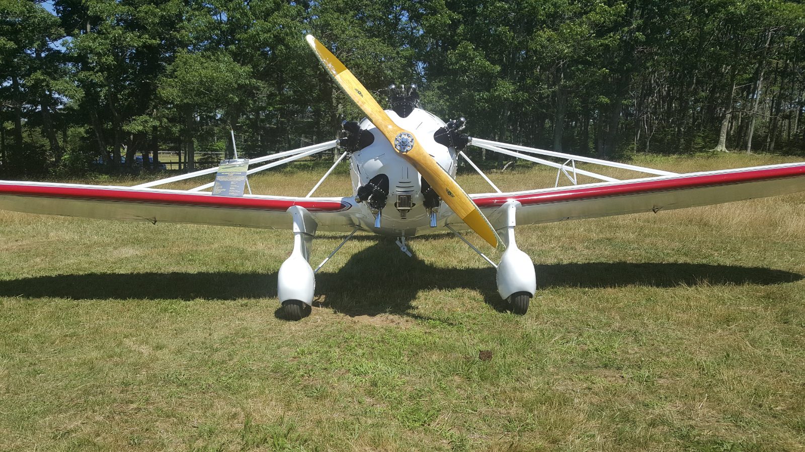 Vintage radial-engine monoplane, front view